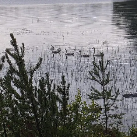 Sammalkalliontie 83 - Mökki, Makuuaitta&laavu Lomamökit